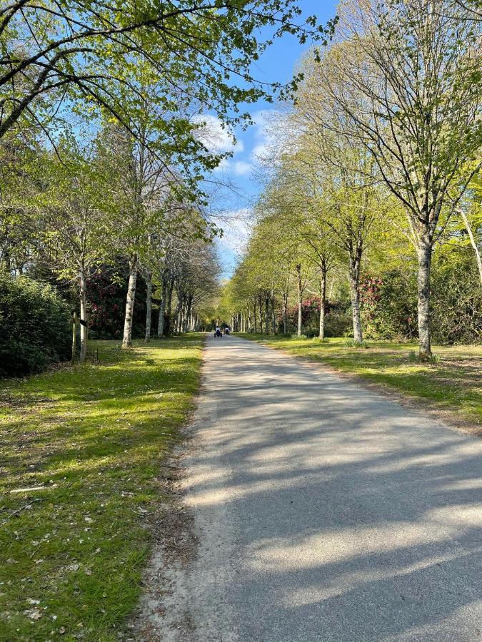 Mobilhome Tout Confort M9 Domaine De Lanniron Quimper Bagian luar foto